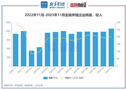 生猪养殖与医药零售双线观察 上市猪企11月销量同比增16%，天邦食品领涨