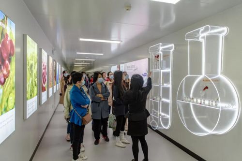 安琪纽特携手中国营养学会，专业赋能药品零售行业人才培养